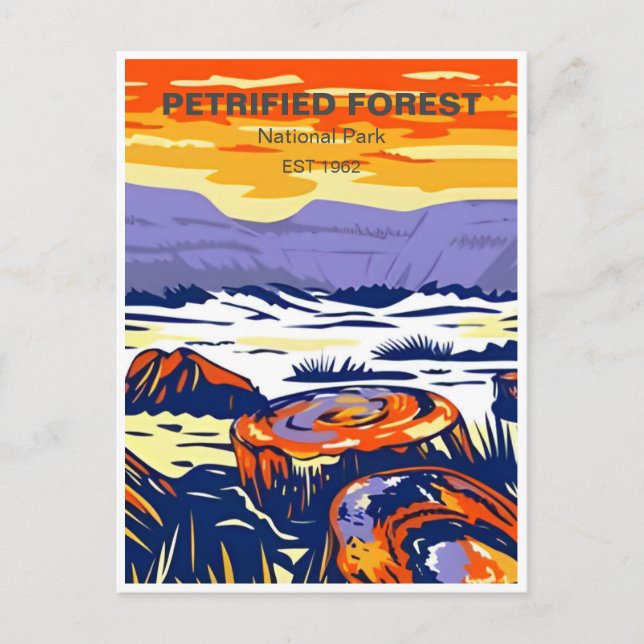 Vintage Petrified Forest National Park Arizona Postcard (Front)