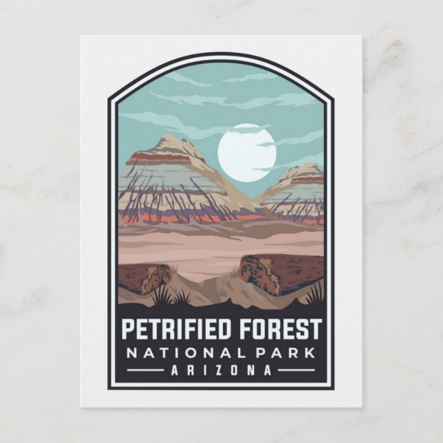 Vintage Petrified Forest National Park Arizona Postcard (Front)