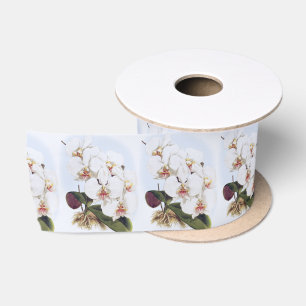 Vintage Phalænopsis Amabilis Dayana Orchid Flower Satin Ribbon