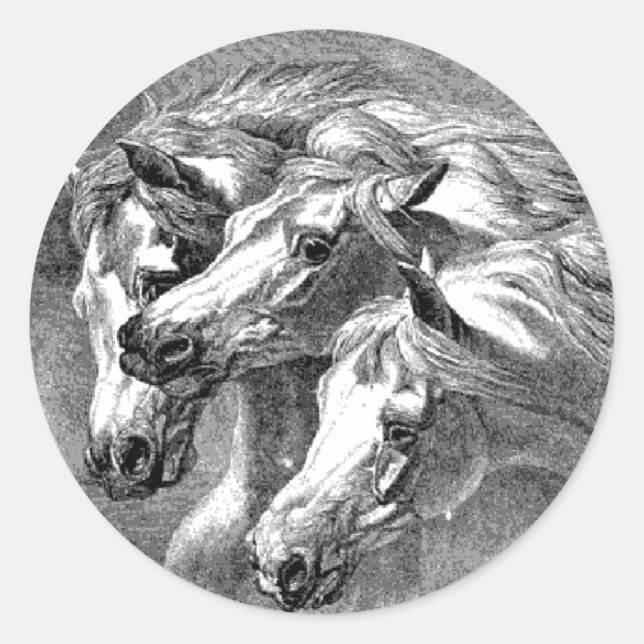 Vintage Pharoah Horse Illustration Sticker (Front)