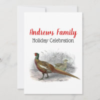 Vintage Pheasant Game Bird Drawing Colour #1