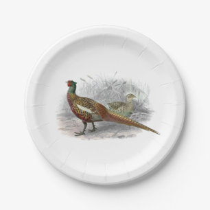 Vintage Pheasant Game Bird Drawing Colour #2 Paper Plate