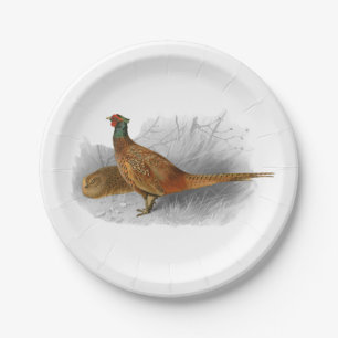 Vintage Pheasant Game Bird Drawing Colour #3 Paper Plate