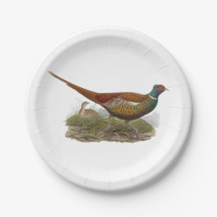 Vintage Pheasant Game Bird Drawing Colour Paper Plate