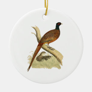 Vintage Pheasant on Branch Game Bird Drawing Colou Ceramic Tree Decoration