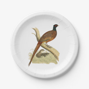 Vintage Pheasant on Branch Game Bird Drawing Colou Paper Plate