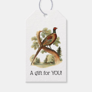 Vintage Pheasant on Branch w/ Trees Drawing Colour Gift Tags