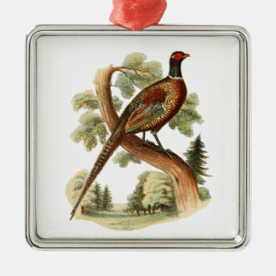 Vintage Pheasant on Branch w/ Trees Drawing Colour Metal Tree Decoration
