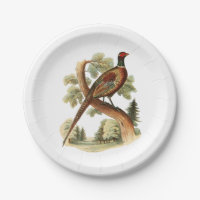 Vintage Pheasant on Branch w/ Trees Drawing Colour
