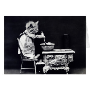 Vintage Photo - Cat Cooking a Meal,
