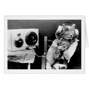 Vintage Photo - Cat Listening to Radio,