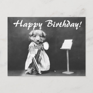 Vintage Photo Dog Playing Violin Birthday Postcard