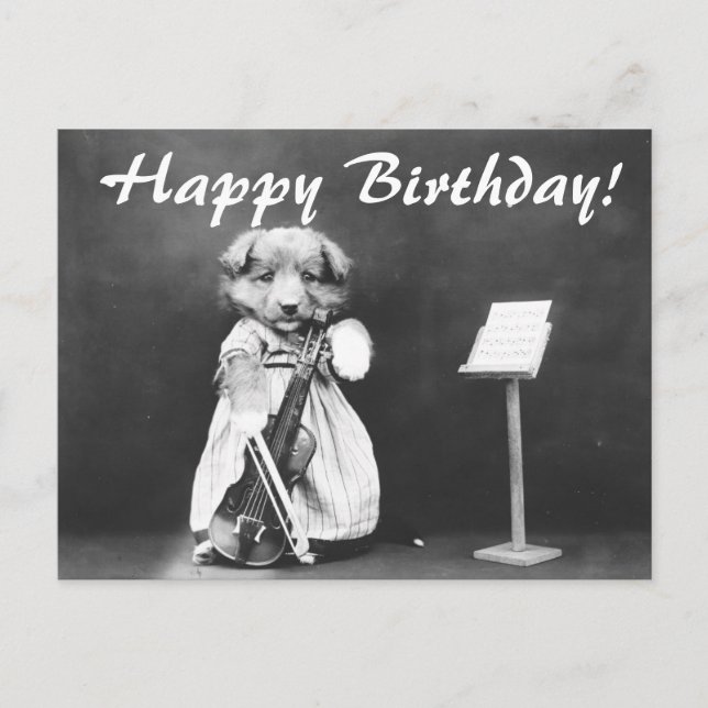 Vintage Photo Dog Playing Violin Birthday Postcard (Front)