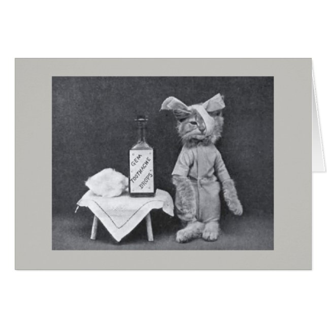 Vintage Photo - Kitten With a Toothache, (Front Horizontal)