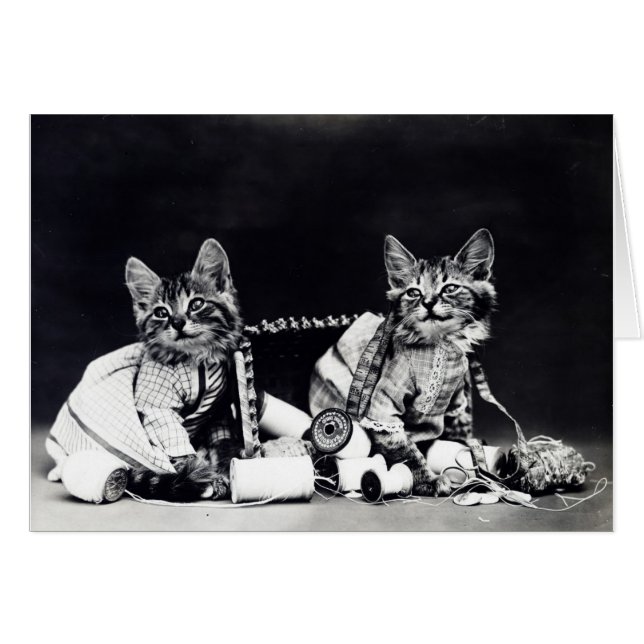 Vintage Photo - Kittens & Sewing Supplies, (Front Horizontal)