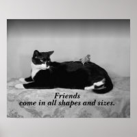 Vintage Photo of Cat and Parakeet Bird, Friends