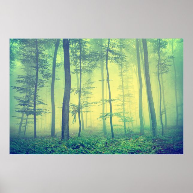 Vintage photo of foggy spring forest. poster (Front)