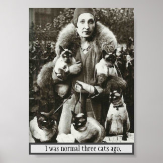 Vintage Photo of Woman & 5 Siamese Cats, Poster