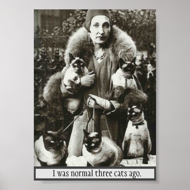 Vintage Photo of Woman & 5 Siamese Cats, Poster (Front)