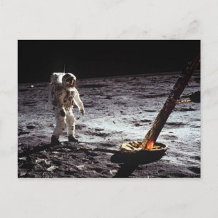 Vintage Photo  Postcard