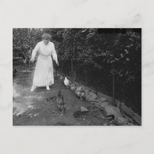 Vintage Photo Postcard