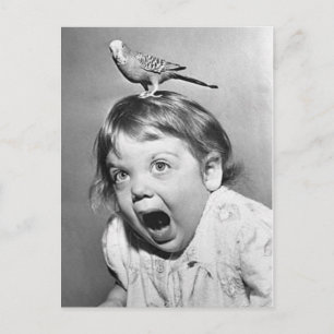 Vintage Photo Postcard