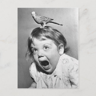 Vintage Photo Postcard