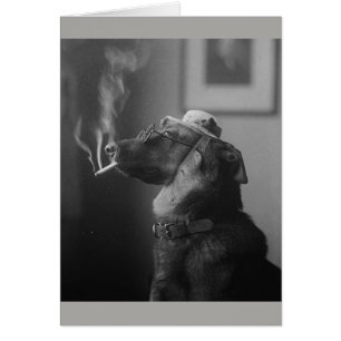 Vintage Photo - Smoking Dog,
