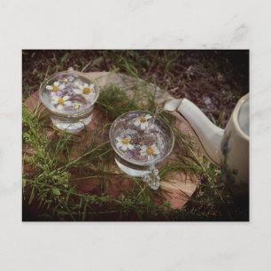 Vintage Photo   Wildflower Tea Nature Postcard