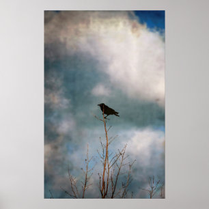 Vintage photograph of a crow on a tree poster