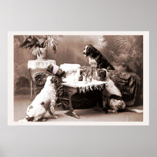 Vintage Photography Hangover with Dogs Poster