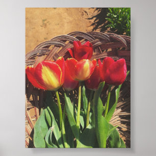 Vintage Photography- Tulip Farm Basket Poster