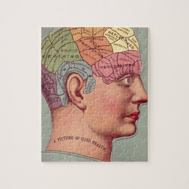 Vintage Phrenology Head Jigsaw Puzzle (Vertical)