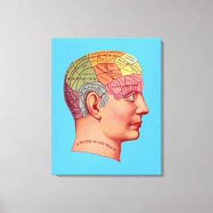 Vintage Phrenology Head Mind Brain Map Canvas Print