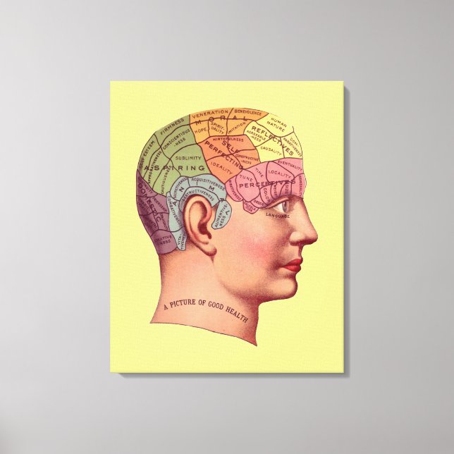 Vintage Phrenology Head Mind Brain Map Canvas Print (Front)