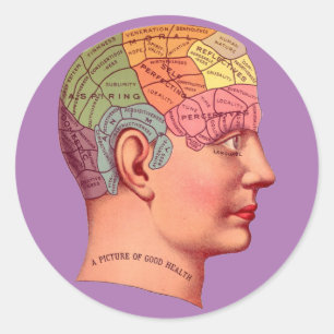 Vintage Phrenology Head Mind Brain Map Classic Round Sticker