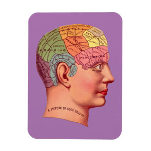 Vintage Phrenology Head Mind Brain Map Magnet