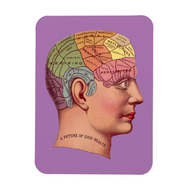 Vintage Phrenology Head Mind Brain Map Magnet (Vertical)