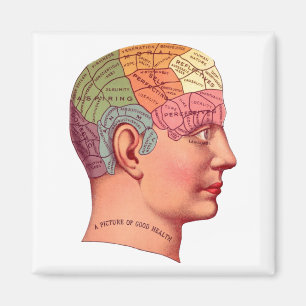 Vintage Phrenology Head Mind Brain Map Magnet