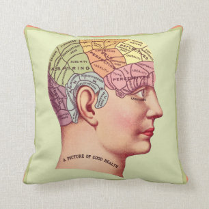 Vintage Phrenology Head Pillow