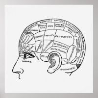 Vintage Phrenology Neurology illustrated