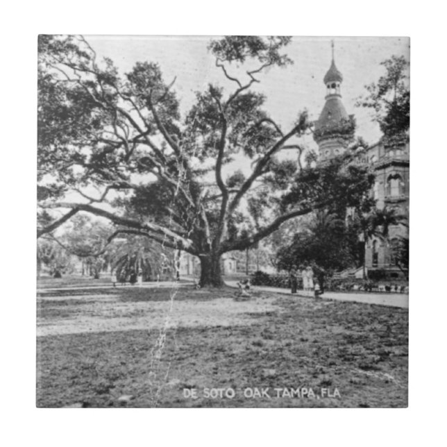 Vintage Pictures of Tampa Florida Tile (Front)