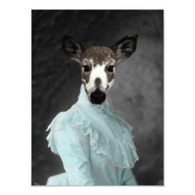 Vintage Piebald Dressed Deer Photo Print (Front)