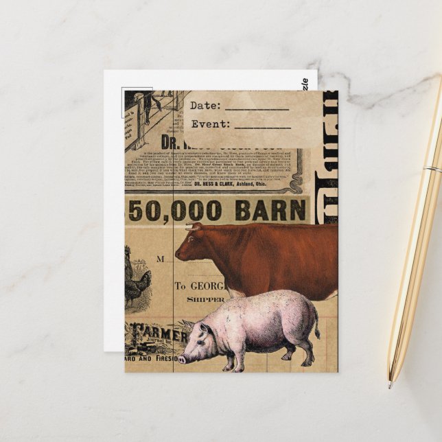 Vintage Pig and Cow Collage Postcard (Front/Back In Situ)