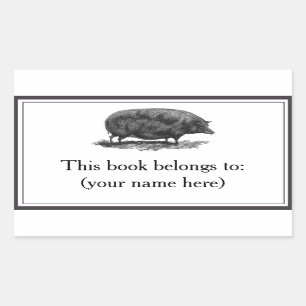 Vintage pig etching bookplate rectangular sticker
