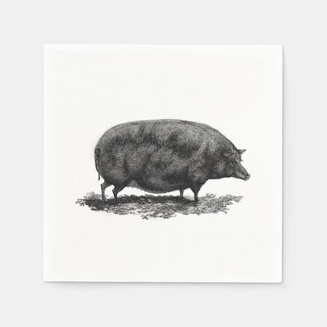 Vintage pig etching napkin (Front)