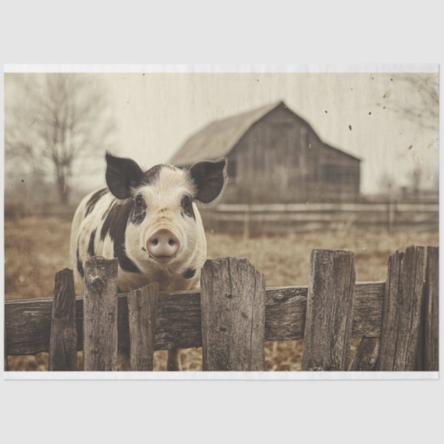 Vintage Pig on a Farm Decoupage Tissue Paper (Front)