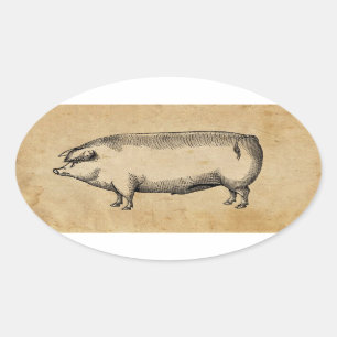 Vintage Pig Sticker