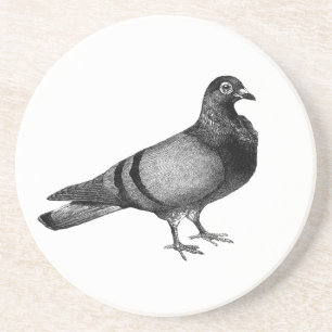 Vintage Pigeon gifts Coaster