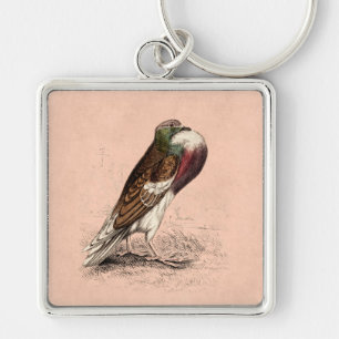 Vintage Pigeon Illustration - 1800's Bird Templat Key Ring
